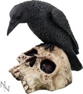 Nemesis Now Beeld/figuur Ravens Remains Zwart