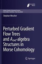 Perturbed Gradient Flow Trees and A -algebra Structures in Morse Cohomology