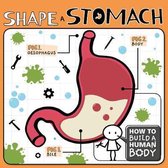 Shape a Stomach