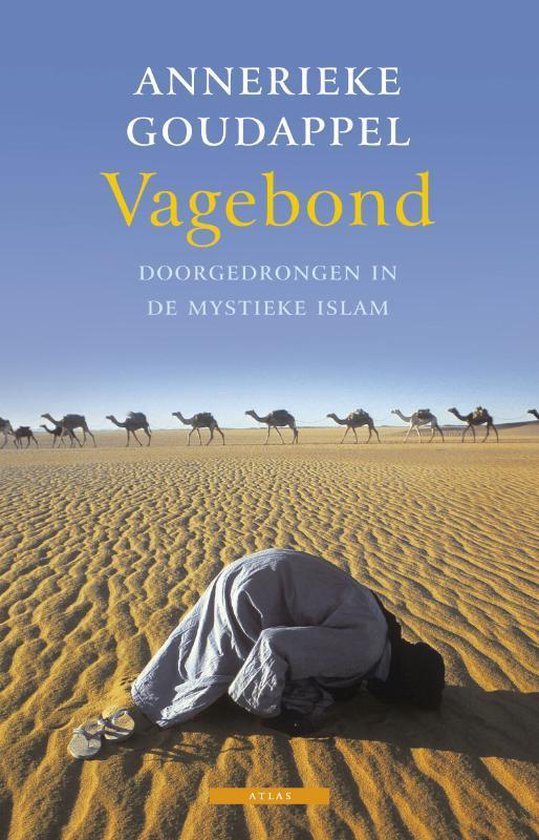 Cover van het boek 'Vagebonden'