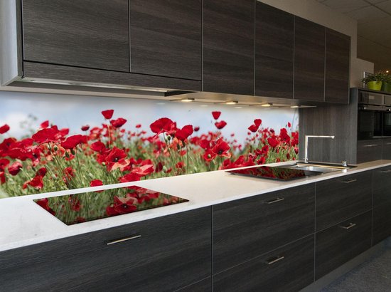 Premedicatie Sitcom naar voren gebracht Keuken behang: "Red Poppies" 400 x 70 cm | bol.com