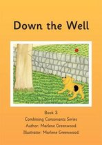 Down the Well