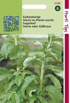 Hortitops Zaden - Stevia Suikerplantje