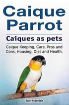 Caique parrot. Caiques as pets. Caique Keeping, Care, Pros and Cons, Housing, Diet and Health.