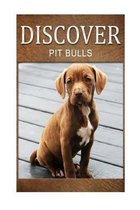 Pit Bull - Discover