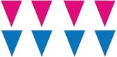 Roze/Blauwe feest punt vlaggetjes pakket - 60 meter - slingers / vlaggenlijn