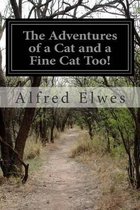 The Adventures of a Cat and a Fine Cat Too!