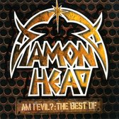 Am I Evil - The Best Of