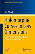 Lecture Notes in Mathematics 2216 - Holomorphic Curves in Low Dimensions