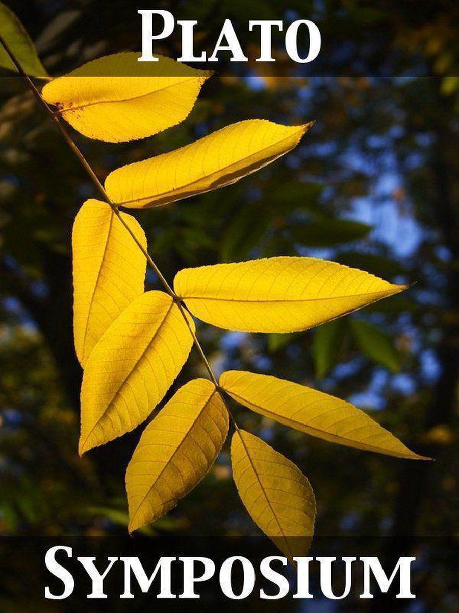 Omslag van Symposium