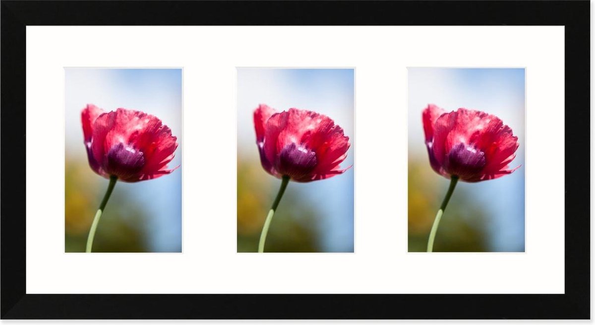 SecaDesign Anima Drieluik Fotolijst - Fotomaat 10x15 cm - Zwart