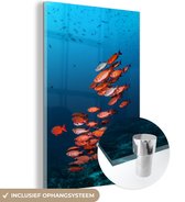 MuchoWow® Glasschilderij 80x120 cm - Schilderij acrylglas - Vissen - Rood - Oceaan - Foto op glas - Schilderijen