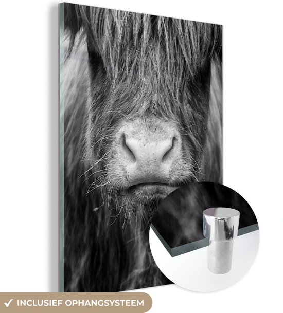 MuchoWow® Tableau sur verre 30x40 cm - Tableau sur verre acrylique - Highlander écossais - Vache - Zwart - Wit - Animaux - Photo sur verre - Décoration murale salon - Décoration murale chambre - Peintures