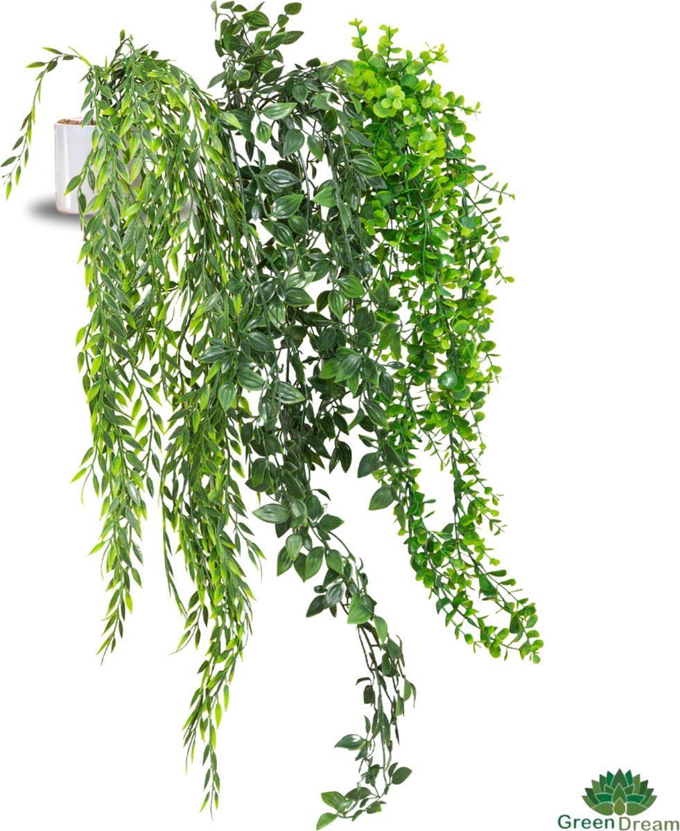GreenDream 3 Verschillende Hangplanten 80 cm in Pot - Cadeautip Groen