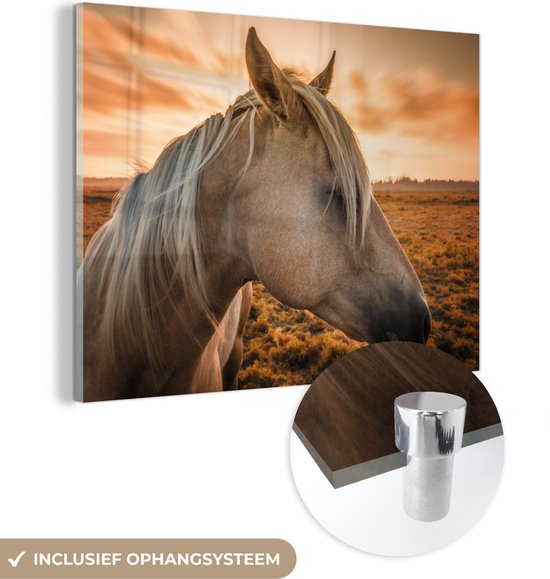 MuchoWow® Glasschilderij 80x60 cm - Schilderij acrylglas - Paard - Dieren - Portret - Foto op glas - Schilderijen
