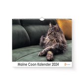 XL 2024 Kalender - Jaarkalender - Maine Coon