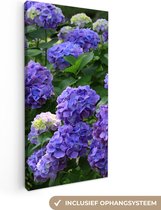 Canvas Schilderij Paarse hortensia's in een Japanse tuin - 40x80 cm - Wanddecoratie