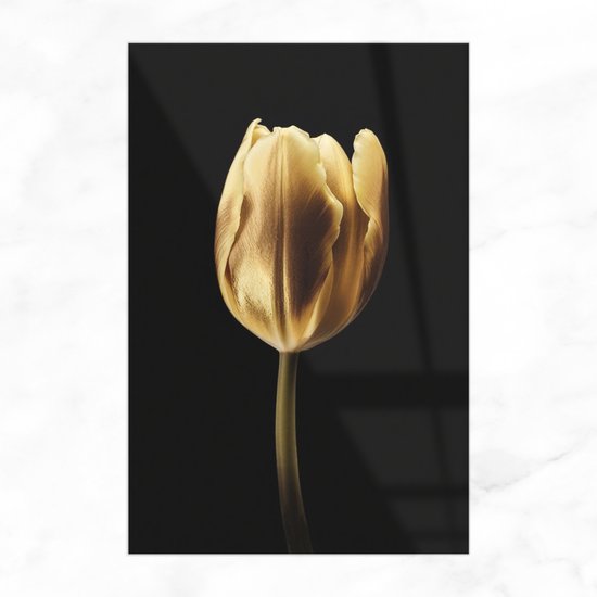 De Muurdecoratie - Gouden Tulp In Het Donker - Schilderij Bloem - Goud - Glasschilderij - Natuur - Wanddecoratie Slaapkamer - 100x150 cm - Foto Op Glas - Muurdecoratie