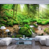 Fotobehangkoning - Behang - Vliesbehang - Fotobehang van het Bos - Humid Forest - 300 x 210 cm