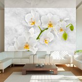 Fotobehangkoning - Behang - Vliesbehang - Fotobehang - Lyrical orchid - Witte Orchidee - Bloemen - 150 x 105 cm