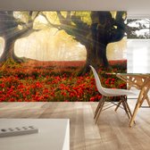 Fotobehangkoning - Behang - Vliesbehang - Fotobehang Klaprozen in het Bos - Bloemen - 400 x 280 cm