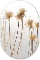 Mur ovale 40x60 cm - Mur ovale Fleurs séchées - Nature - Botanique - Décoration murale plastique - Tableau ovale - Décoration murale murale salon - Peintures - Forme miroir ovale sur plastique