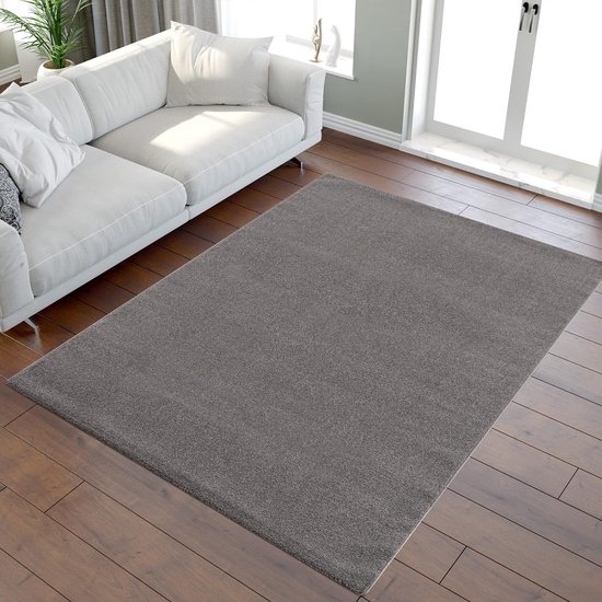 Laagpolig tapijt voor de woonkamer, effen moderne tapijten voor de slaapkamer, werkkamer, kantoor, hal, kinderkamer en keuken, grijs, 80 x 150 cm