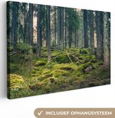 Canvas Schilderij Mossig Bos - Bomen - Mos - Groen - Natuur - Schilderijen - 60x40 cm - Woonkamer Decoratie