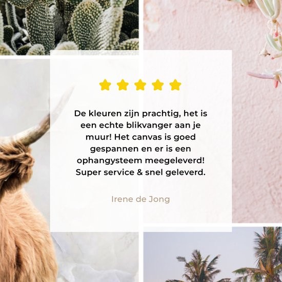 Décoration murale - Highlander écossais - Collage - Cactus - Peinture sur Toile - 140x90 cm