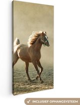 Canvas Schilderij Paard - Zand - Mist - 20x40 cm - Wanddecoratie