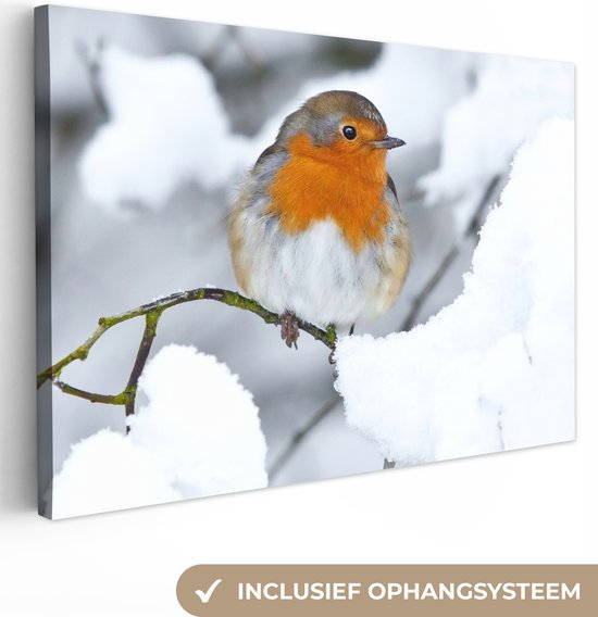 Robin sur une branche enneigée Toile 120x80 cm - Tirage photo sur toile (Décoration murale salon / chambre)