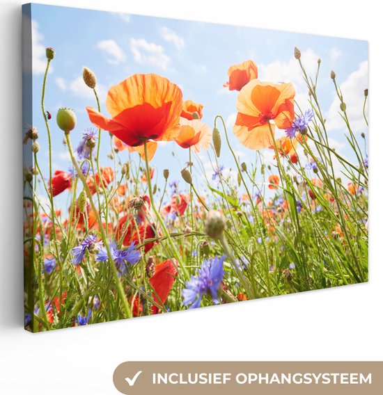 Canvas schilderij 120x80 cm - Wanddecoratie Bloemen - Klaproos - Lente - Natuur - Rood - Blauw - Muurdecoratie woonkamer - Slaapkamer decoratie - Kamer accessoires - Schilderijen op canvas
