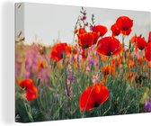 Canvas Schilderij Klaproos - Bloemen - Rood - Paars - Weide - 60x40 cm - Wanddecoratie