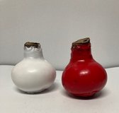 Wax amaryllis duo rood/wit - wax bol