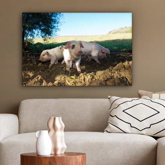 Toile Peinture Cochons - Animaux - Paysage - 60x40 cm - Décoration murale