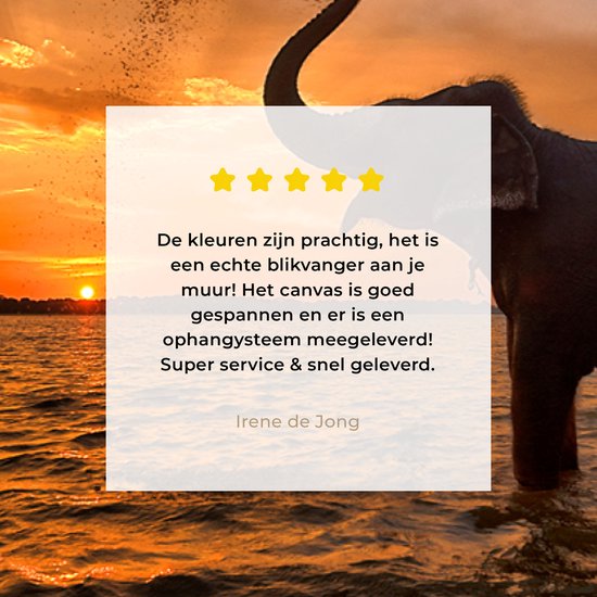 Toile - Éléphant - Coucher de soleil - Water - Décoration murale - 40x20 cm - Peintures sur toile - Toile canvas