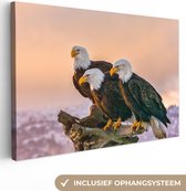 OneMillionCanvasses - Canvas schilderij - Vogels - Dieren - Arend - Roofvogel - Takken - Schilderij vogels - Canvas doek - 150x100 cm - Muurdecoratie