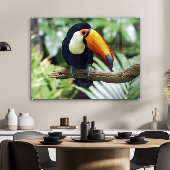 Un toucan regarde vers le bas d'une branche Plexiglas 80x60 cm - Tirage photo sur Glas (décoration murale en plexiglas)