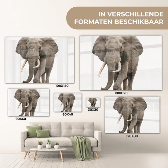 MuchoWow® Peinture sur Verre - Éléphant - Enfants - Garçons - Animaux - Filles - 90x60 cm - Peintures sur Verre Acrylique - Photo sur Glas