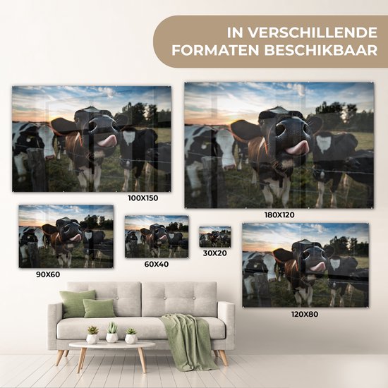 MuchoWow® Peinture sur verre 30x20 cm - Peinture sur verre acrylique - Vache - Animal - Gros plan - Photo sur verre - Peintures