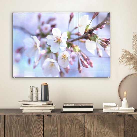 MuchoWow® Peinture sur verre 60x40 cm - Peinture sur verre acrylique - Fleurs - Sakura - Branche - Branches fleuries - Photo sur verre - Peintures