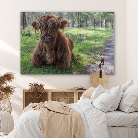 MuchoWow® Glasschilderij 180x120 cm - Schilderij acrylglas - Schotse Hooglander - Pad - Dieren - Foto op glas - Schilderijen