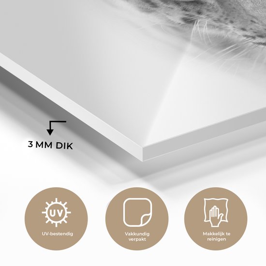 MuchoWow® Peinture sur verre 30x20 cm - Peinture sur verre acrylique - Léopard - Zwart - Wit - Tête - Photo sur verre - Peintures