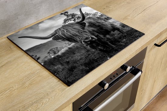 Inductiebeschermer - Eating Highlander - 56x38 cm - Inductiebeschermer - Inductie Afdekplaat Kookplaat - Inductie Mat - Anti-Slip - Keuken Decoratie - Keuken Accessoires