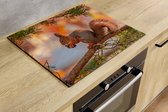 Protection induction - Écureuil - 70x52 cm - Protection induction - Housse plaque induction - Tapis induction - Antidérapant - Décoration Cuisine - Accessoires de vêtements pour bébé Cuisine