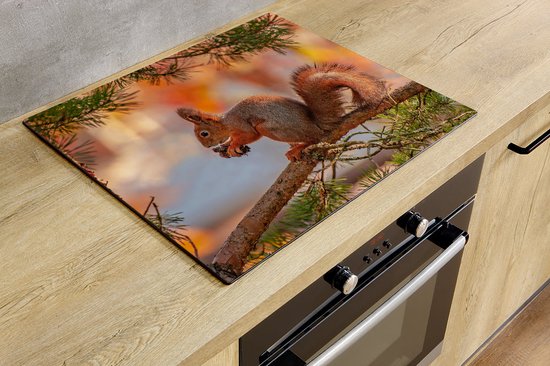 Protection induction - Écureuil - 70x52 cm - Protection induction - Housse plaque induction - Tapis induction - Antidérapant - Décoration Cuisine - Accessoires de vêtements pour bébé Cuisine