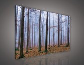 Canvas Schilderij - Bos - Bomen - Mist - Natuur - Herfst - Bladeren - Inclusief Frame - 100x75cm (lxb)