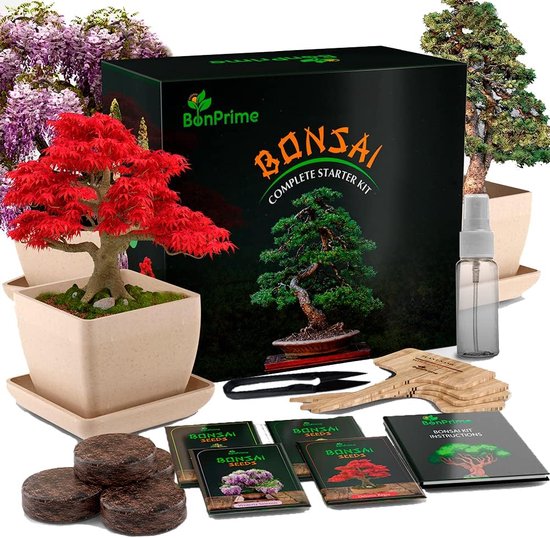 Ontdek de Magie van Bonsai met Onze Bonsai Groeikit voor Beginners! bol
