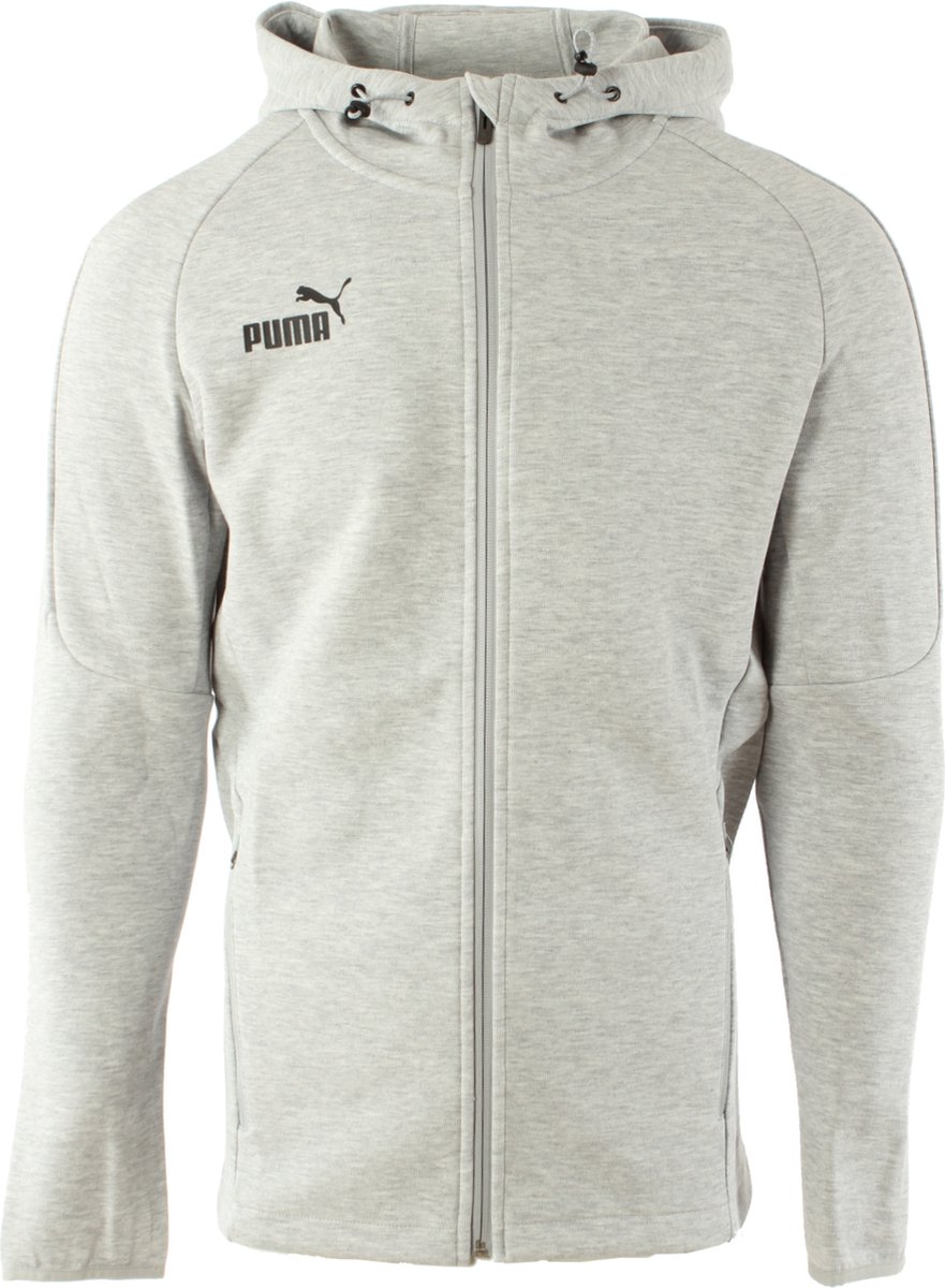 Puma vest teamFINAL drycell Grijs