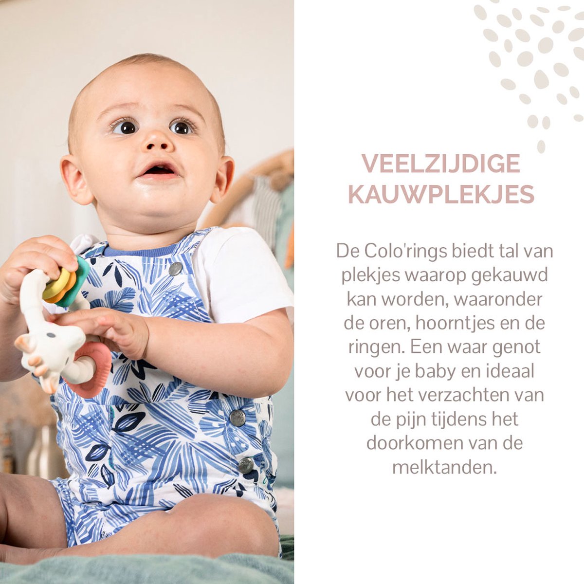 Moonkie Baby Bijtspeelgoed, Siliconen Telefoon, Bijtring voor Baby, Pop It Fidget Toys, Babyspeelgoed BPA-vrij, en Peuter van 3 Maanden , Sensorisch Speelgoed, voor Jongens en Meisjes(Lichtblauw